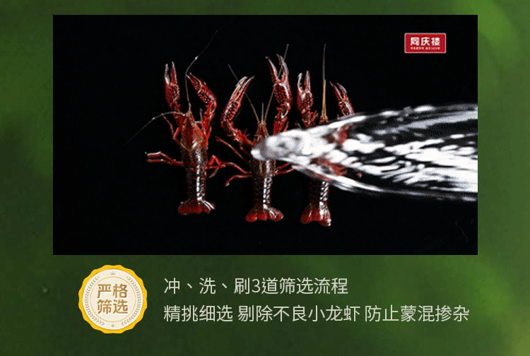 2.gif